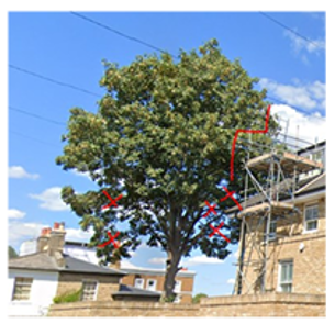 Tree works illustration